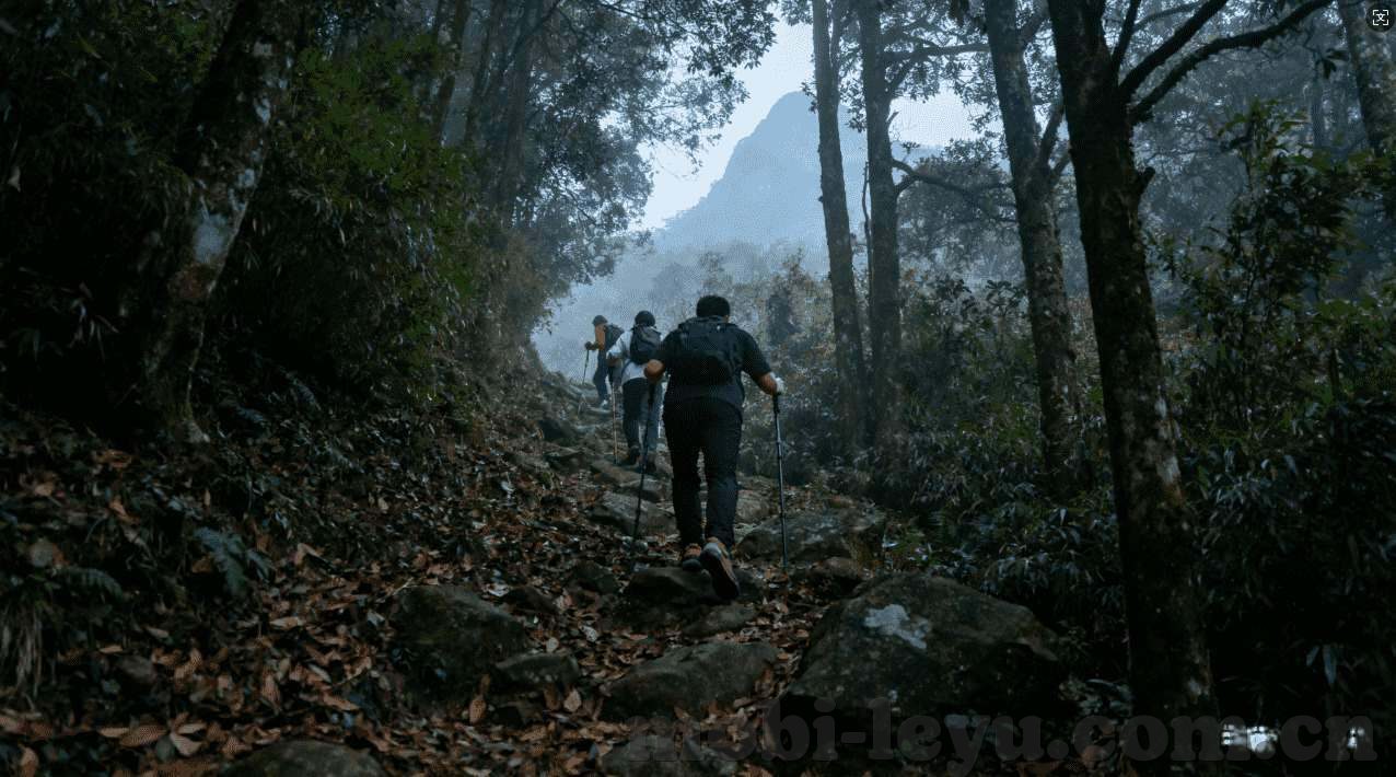 世界杯彩票赚钱-世界杯彩票，如何理性参与，实现盈利